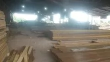 Amazônia Woords FLORESTAL