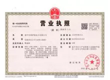 Enping lexas Electronic Co.,Ltd