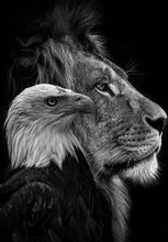 NAAMAH TRADING COMPANY