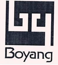 China Boyang Group Limited