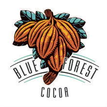 BLUEFOREST COCOA IND E COM DE PRODUTOS DE CACAU