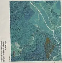 Propriedade Rural com Pinus Taeda e Eucalipto Dunni 