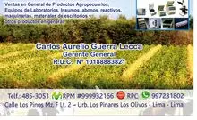 incorporacion internacional mayra eirl