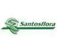 Santos Flora