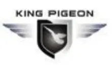 Kingpigeon Gsm Alarm System