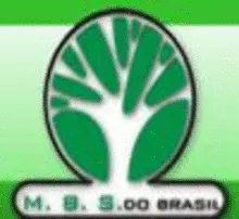 Madeireira Base Solida Do Brasil Ltda.