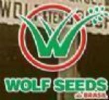 Wolf Seeds Do Brasil S/a