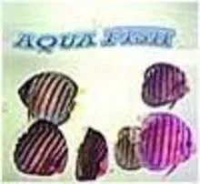 Aqua Fish