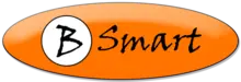 Bsmart Consulting and Outsourcing Services