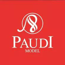 PaudiModel Technology Company Ltd