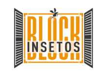Block Insetos