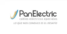 PAN ELECTRIC 