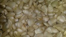 WHITE / RED/ YELLOW CORN / MAIZE AT DISCOUNT PRICE