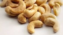 Cashew Nut Kernels WW210,WW240,WW320