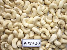 Cashew nuts, almond nuts, pistashio nuts, poppy seeds, Quinoa seeds