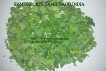 Moringa Superfood - Suppliers India