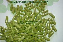 Moringa Capsules Suppliers India