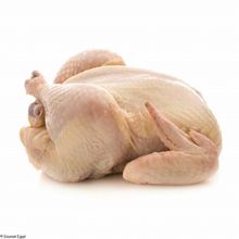 Certified USA Quality Halal Frozen Whole Chicken and Parts / Gizzards / Thighs / Feet / Paws / Drumsticks 