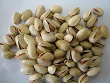 Pistachio Nuts and Kernels