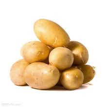 Fresh Dutch yellow skinned potato