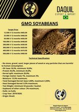 Soja GMO
