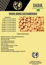 Soja Non GMO
