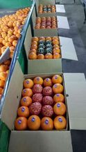 Naranjas de Sudáfrica/naranja Navel fresca/híbrido