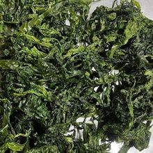 Organic sea lettuce for human food from Vietnam