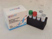Estoque pronto Kit de detecção de vírus Monkeypox Método RT-PCR