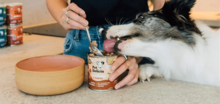 March opportunity for NATURAL pet food