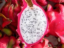 Red Pitahaya in Spain - Immediate Delivery