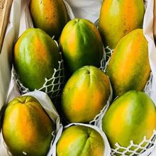 FRESH PAPAYA FROM BRAZIL