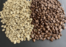 Coffee Beans Coffee Beans Export High Quality Arabica Green Coffee Beans