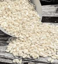 Bulk Grain White Dry Corn Kernal Dried Maize Dry White Corn with Competitive Price