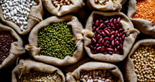 Oferta Exclusiva para Mayoristas e Importadores: Productos Alimenticios Esenciales