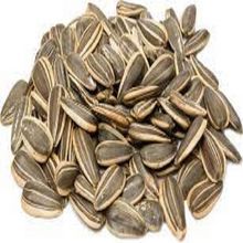 Premium Sunflower Seeds 