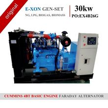 GAS GRUPO 30KW Cummins 3.9L 4BT (gas natural, GLP, biogás, biomasa)