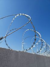 The Best Razor Wire Concertina on the Market!