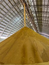 Premium Corn DDG for Animal Feed