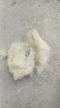 Fibra de sisal