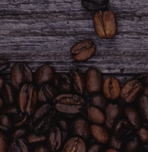 Café Brasileño de Alta Calidad para Exportación