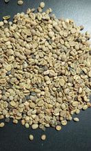 Venda de Café Verde