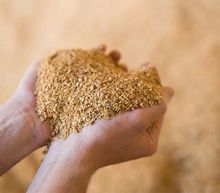 Brazilian Soybean Meal 46% CP in Bulk Liner or 40kg bags — Almaris International Trade