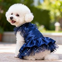 Vestido de Gala Noturno para Mascote