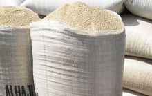 Sementes de gergelim branco premium. 