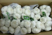 Carton white garlic