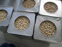 Manufacturers of Cashew Nuts. 