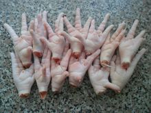 frozen chicken feet for sale