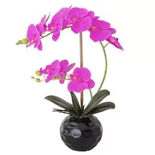 Flor artificial Phalaenopsis maceta sentir simulación real planta en maceta flor falsa bonsái decoración del hogar
