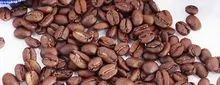 Yunnan first-class coffee beans/ARABICA - KATIM/Varieties
